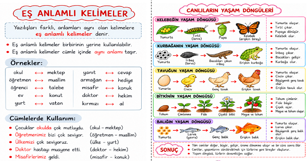 3. Sınıf 7. Hafta Defter Notu Ve Etkinlikleri