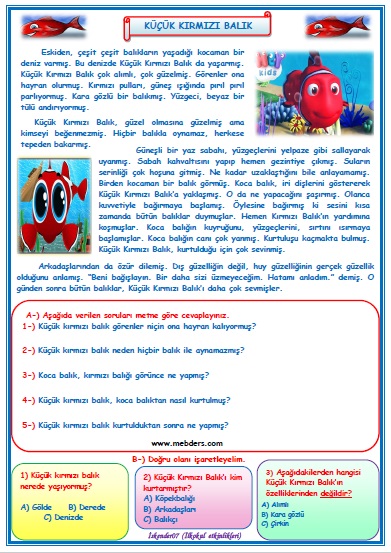 1.Sınıf Türkçe Küçük Kırmızı Balık Okuma Anlama Metin Çalışması  33