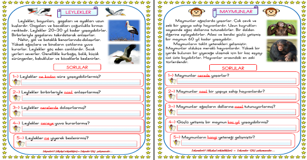 1. Sınıf Türkçe Okuma Anlama Hayvanlar (6 Sayfa)