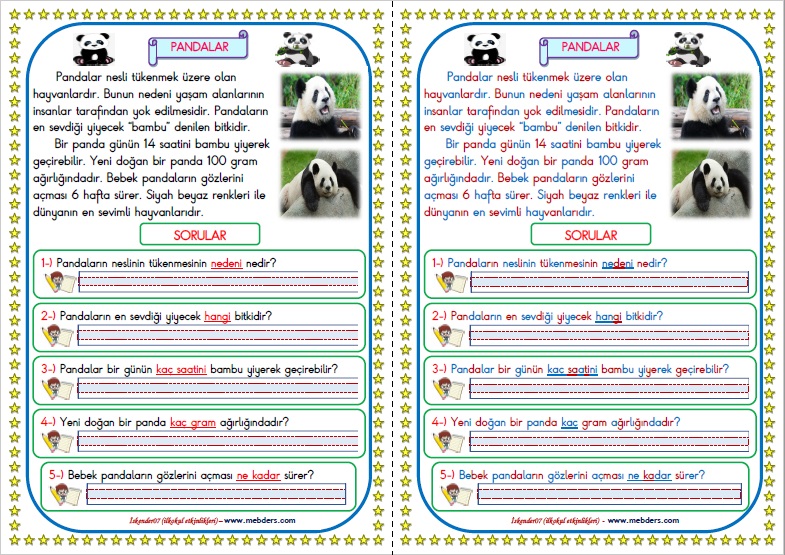 1.Sınıf Türkçe Pandalar Okuma Anlama Metin Çalışması  3