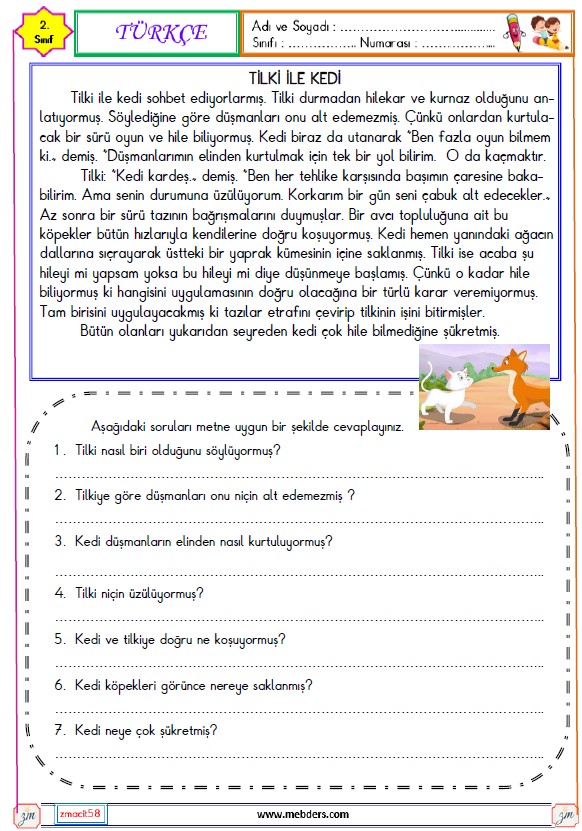 2. Sınıf Türkçe Okuma ve Anlama Metni Etkinliği ( Tilki ile Kedi )