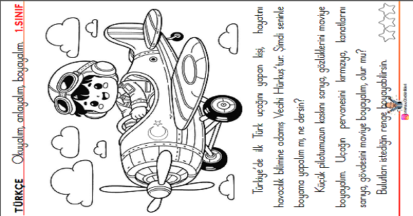 1. Sınıf Türkçe Oku - Anla - Boya -20