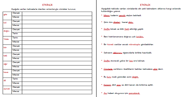 4. Sınıf Türkçe Gerçek, Mecaz ve Terim Anlamlı Kelimeler Çalışmaları (4 Sayfa)