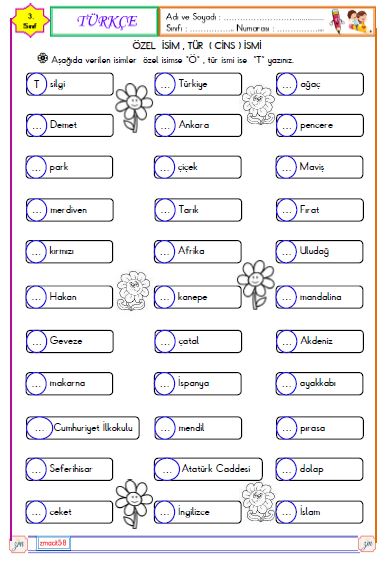 3. Sınıf Türkçe Özel İsim ve Tür İsmi Etkinliği