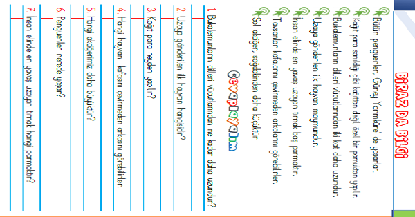 1.Sınıf Türkçe Biraz Bilgi Etkinliği-2