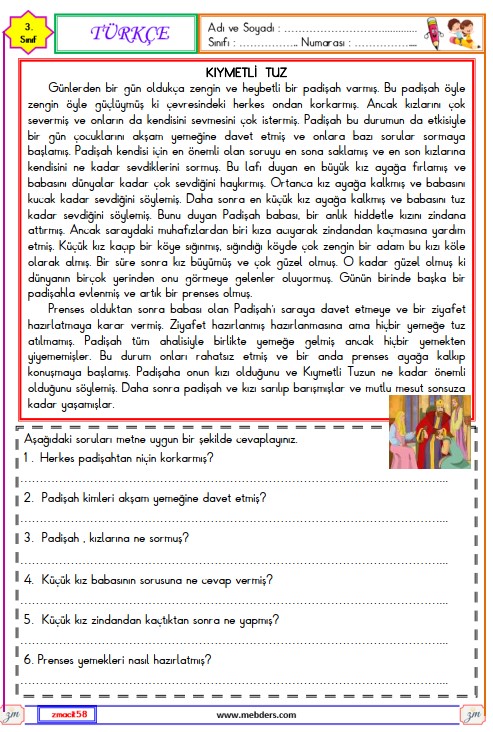 3. Sınıf Türkçe Okuma ve Anlama Metni Etkinliği (Kıymetli Tuz) 4