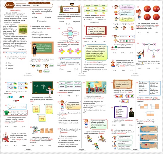 2.Sınıf Mart Ayı Deneme Sınavı  (Türkçe-Matematik-Hayat Bilgisi  30 Soru)