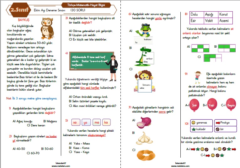 2.Sınıf Ekim Ayı Deneme Sınavı  (Türkçe-Matematik-Hayat Bilgisi  30 Soru)