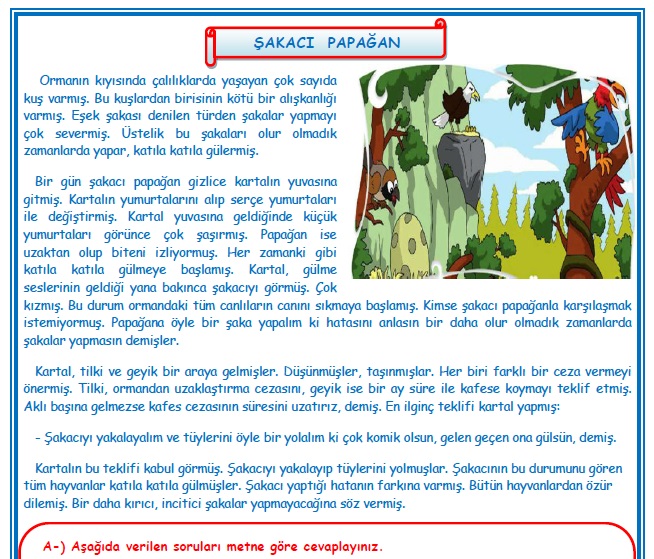 2.Sınıf Türkçe Şakacı Papağan Okuma Anlama Metin Çalışması