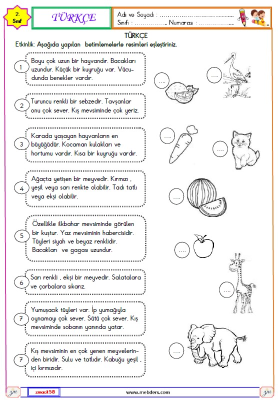 2. Sınıf Türkçe Betimleme Etkinliği