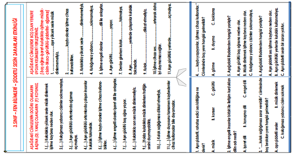 3.Sınıf - Fen Bilimleri Şiddetli Sesin Zararları Etkinliği