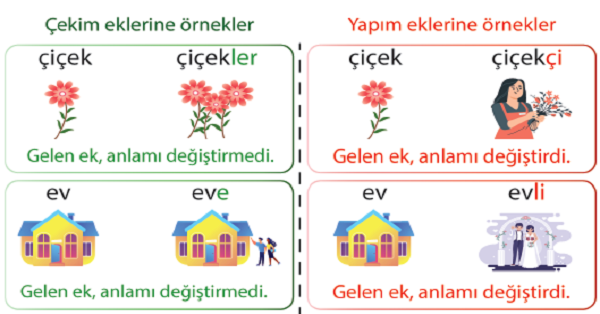 4.Sınıf Türkçe Ekler (Yapım Eki -Çekim Eki) Etkinliği