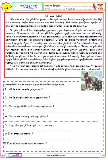 3. Sınıf Türkçe Okuma ve Anlama Metni Etkinliği ( At ile Eşek )