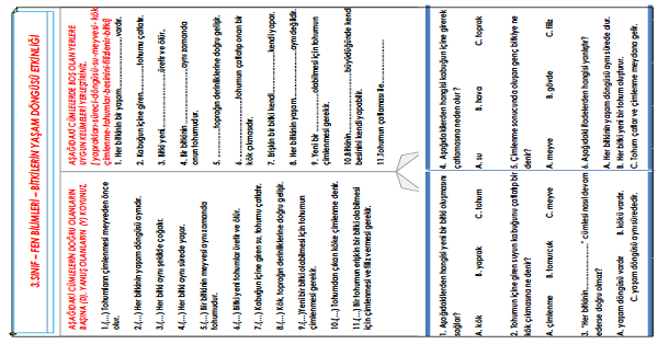 3.Sınıf - Fen Bilimleri Bitkilerin Yaşam Döngüsü Etkinliği