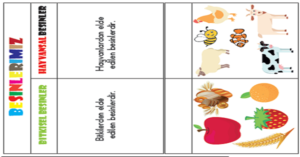 2.Sınıf Hayat Bilgisi Hayvanlardan Ve Bitkilerden Elde Edilen Besinler Kes-Yapıştır-Boya Etkinliği