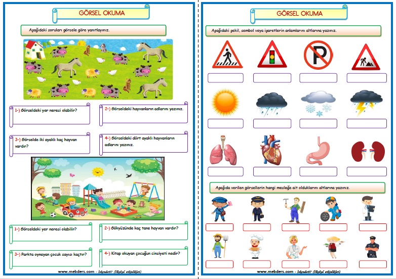 2.Sınıf Türkçe Görsel Okuma Etkinlik Çalışması (4 Sayfa)