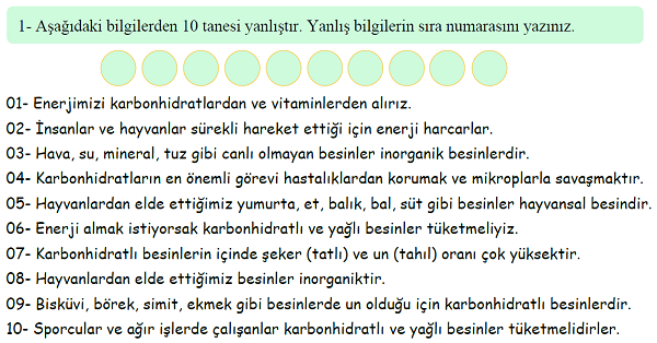 4.Sınıf Fen Bilimleri Besinlerimiz Doğru-Yanlış Etkinliği