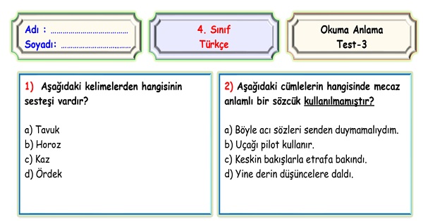 4.Sınıf Türkçe Okuma Anlama Sene Sonu Değerlendirme Testi 3