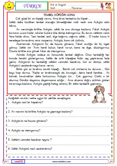 3. Sınıf Türkçe Okuma ve Anlama Metni Etkinliği (Tembel Köpeğin Sonu)