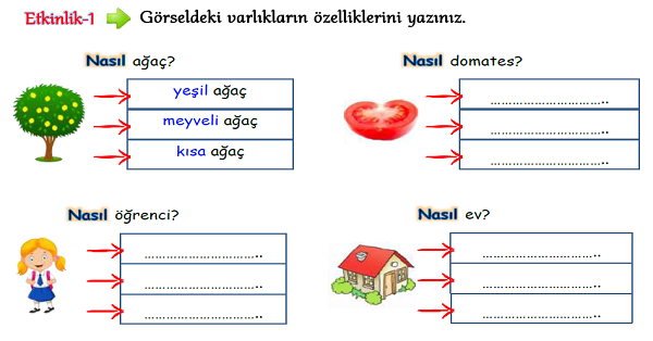 3.Sınıf Türkçe (Ön Ad-Sıfat) Varlıkların Özellikleri-1