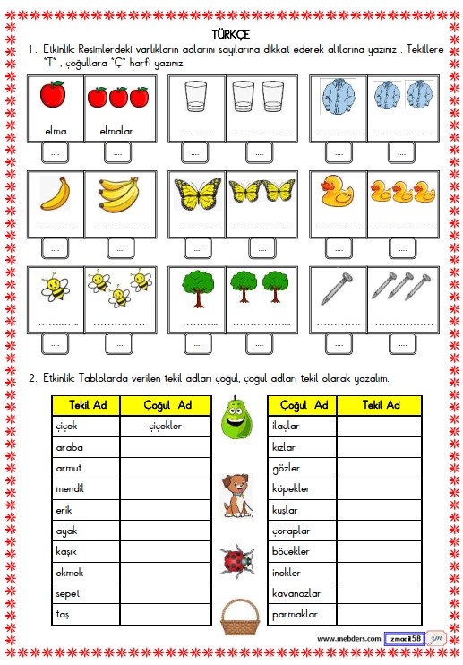 2. Sınıf Türkçe Tekil ve Çoğul İsim Etkinliği