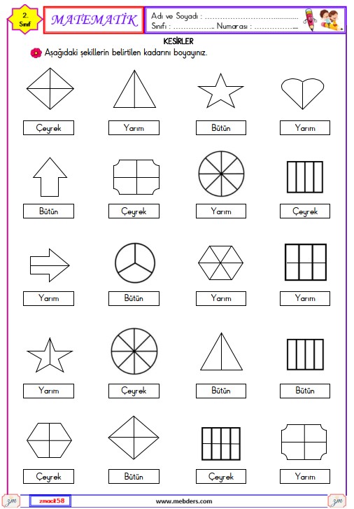 2. Sınıf Matematik Bütün , Yarım ve Çeyrek Etkinliği 2