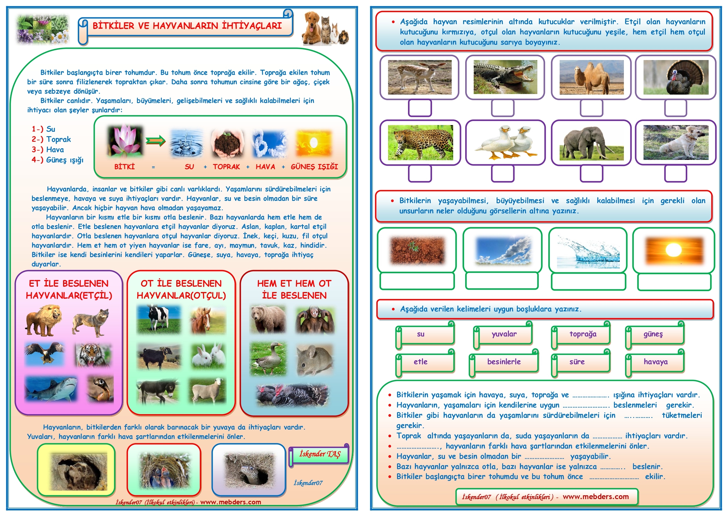 2.Sınıf Hayat Bilgisi Bitkiler ve Hayvanların İhtiyaçları  (2 Sayfa)