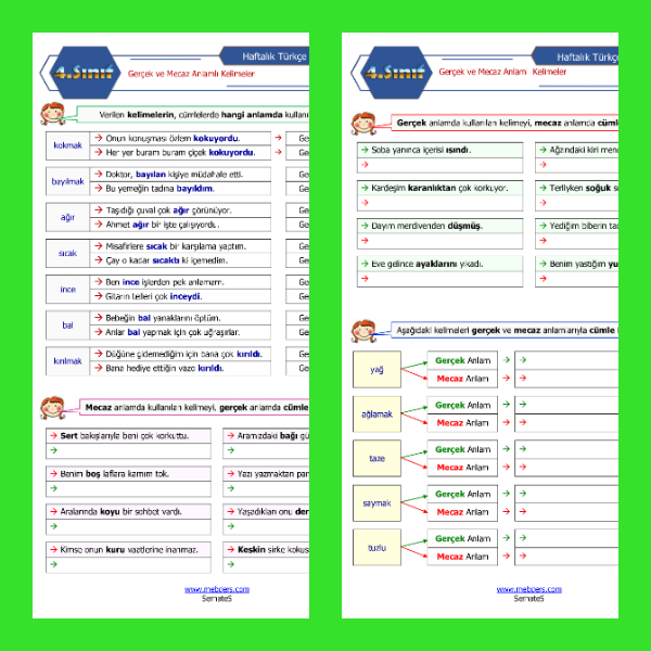 4. Sınıf Türkçe - Gerçek ve Mecaz Anlamlı Kelimeler Etkinlikleri
