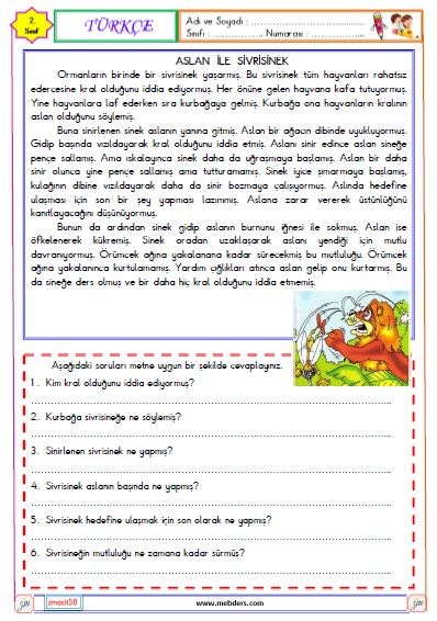 2. Sınıf Türkçe Okuma ve Anlama Metni Etkinliği(Aslan ile Sivrisinek)