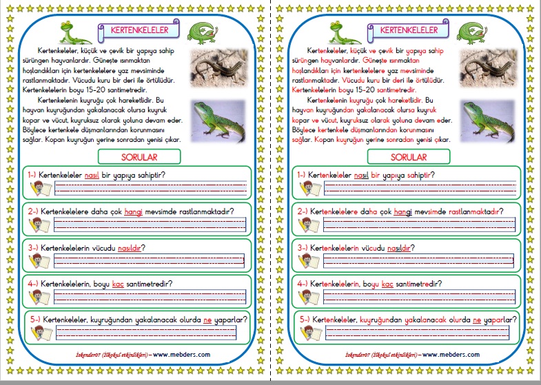 1.Sınıf Türkçe Kertenkeleler Okuma Anlama Metin Çalışması  7