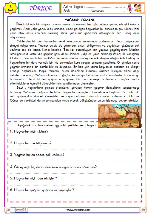 2. Sınıf Türkçe Okuma ve Anlama Metni Etkinliği 36 (Yağmur Ormanı)