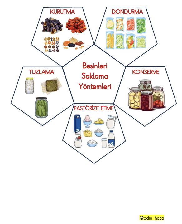 4. Sınıf - Fen Bilimleri - Besinleri Saklama Yöntemleri İnteraktif Defter Etkinliği