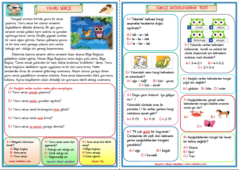 1.Sınıf Türkçe Yavru Serçe Değerlendirme Çalışması 12