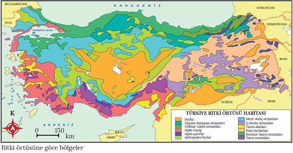 Türkiye Bitki Örtüsü Haritası 2
