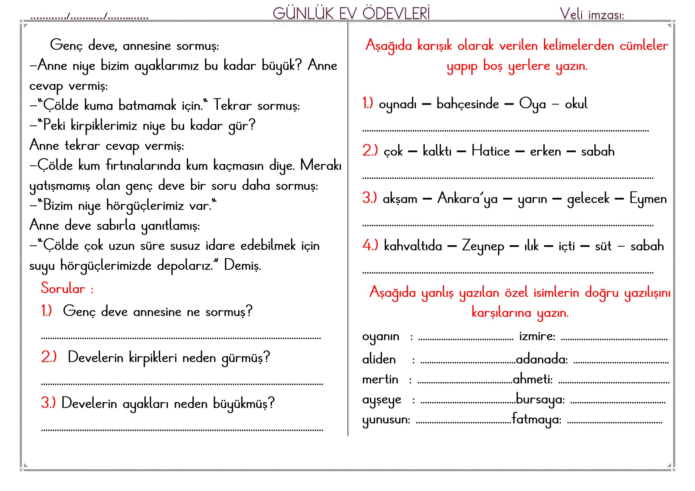 1.Sınıf - 03 Şubat 2026 Günlük Ev Ödevleri