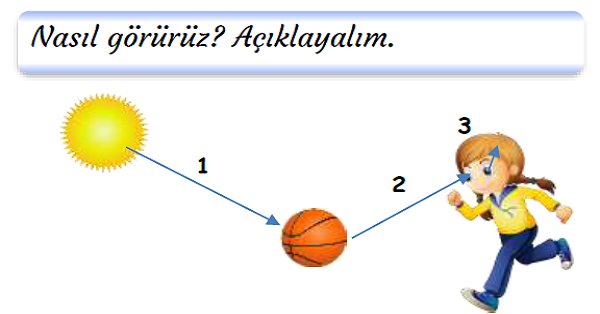 3.Sınıf Fen Bilimleri Işığın Görmedeki Rolü ve Işık Kaynakları Etkinlikler