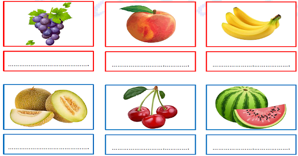 1.Sınıf Türkçe Yazma Dikte Çalışmaları-2