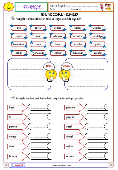 3. Sınıf Türkçe Tekil ve Çoğul Kelimeler Etkinliği