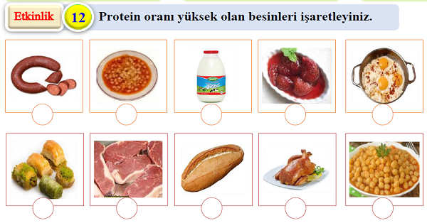 4.Sınıf Fen Bilimleri Besinler ve İçerikleri Etkinliği 2