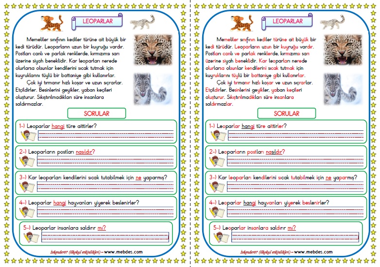 1.Sınıf Türkçe Leoparlar Okuma Anlama Metin Çalışması  8