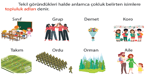 4.Sınıf Türkçe Sayılarına Göre Adlar (Tekil-Çoğul-Topluluk)