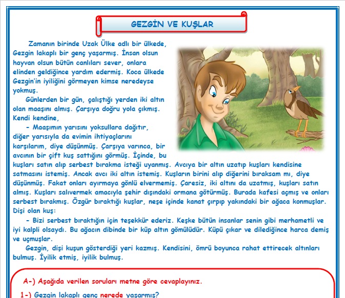 2.Sınıf Türkçe Gezgin Kuşlar Okuma Anlama Metin Çalışması