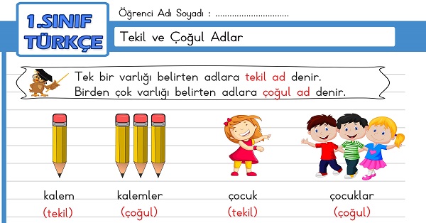 1.Sınıf Türkçe Tekil ve Çoğul Adlar Etkinliği