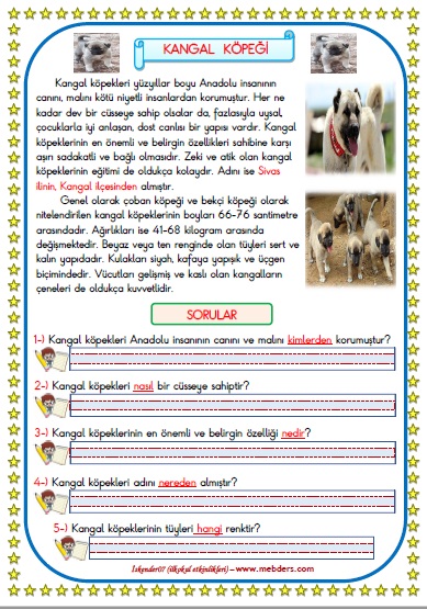 1.Sınıf Türkçe Kangal Köpeği Okuma Anlama Metin Çalışması  14