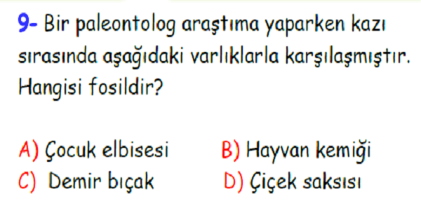 4.Sınıf Fen Bilimleri Yer Kabuğu ve Dünyamızın Hareketleri Yaprak Testi-3