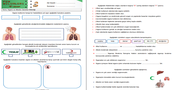 4.Sınıf Fen Bilimleri Sigara ve Alkolün Zararları Etkinliği