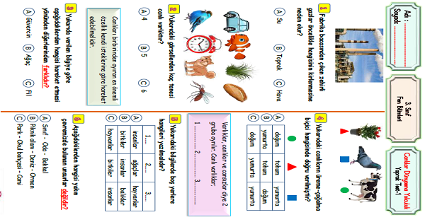 3.Sınıf Fen Bilimleri Canlılar Dünyasına Yolculuk Yaprak Test