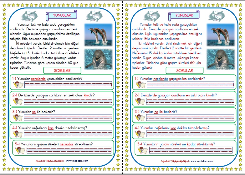 1.Sınıf Türkçe Yunuslar Okuma Anlama Metin Çalışması  1