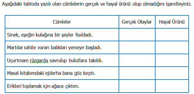 3.Sınıf Türkçe Gerçek ve Hayal Ürünü İfadeler Etkinliği 2