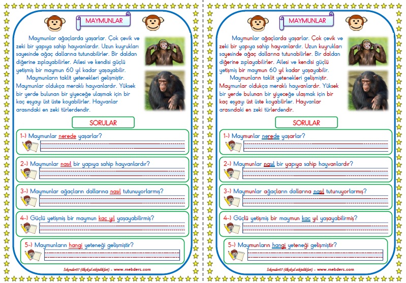 1.Sınıf Türkçe Maymunlar Okuma Anlama Metin Çalışması  6